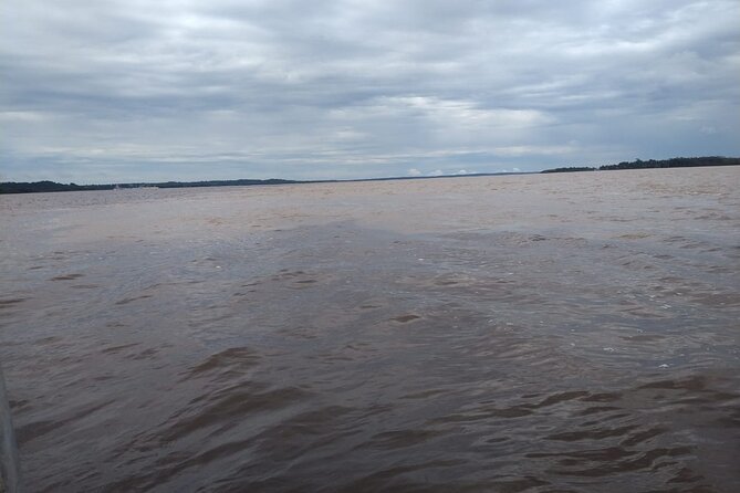 2 Days 1 Night at the Juma Lake Lodge - The 8:00 to 11:00 jungle trek
