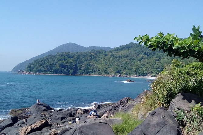 3 Beaches Hiking Santo Amaro Island - Paradise Route Tour from São Paulo - Black Beach, rainforest, and a proper swim