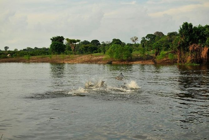 3-Day Manaus Amazon Jungle Adventure - Key points before you book