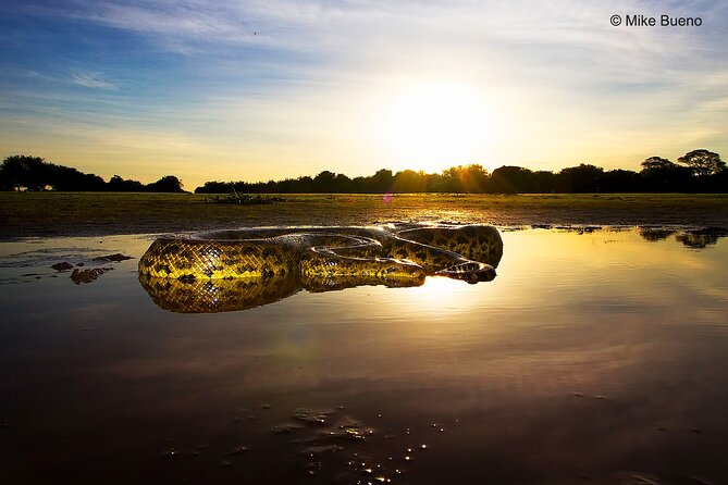 3-day Pantanal Wildlife Tour with accommodation- Departing from Cuiaba - Key points to know before booking
