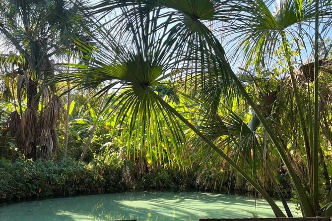 3-Day Tour to the Natural Paradise of Jalapão - What makes this Jalapão trip worth considering