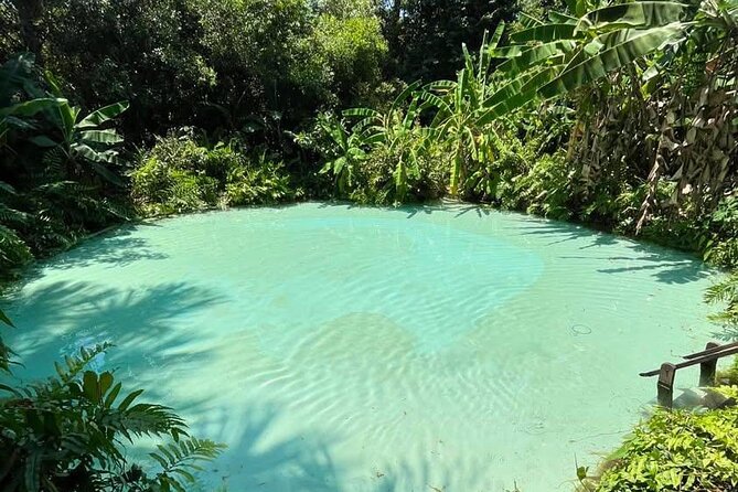 3-Day Tour to the Natural Paradise of Jalapão - Transport, guides, and the practical feel of the trip