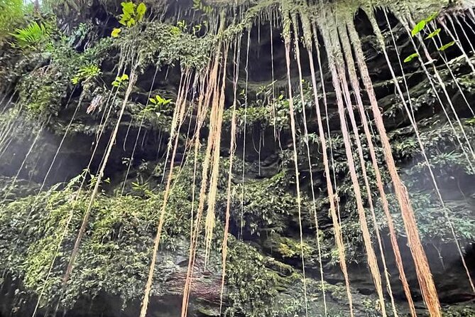 3-Day Tour to the Natural Paradise of Jalapão - Who will enjoy this tour most