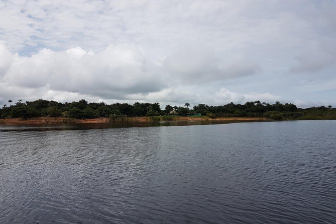 3 Days Amazon Jungle Adventure Tour - Day one: five hours from Manaus to jungle silence