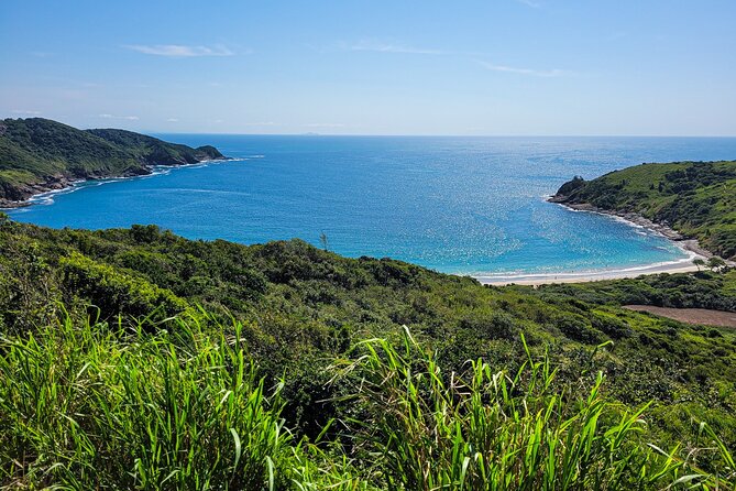 3-hour Small Group Buzios Peninsula Open Air Trolley Tour - Why This Trolley Tour Works as a First Afternoon in Búzios