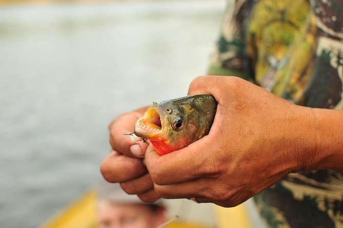 4-Day Manaus Amazon Jungle Adventure - What the $571 price really covers