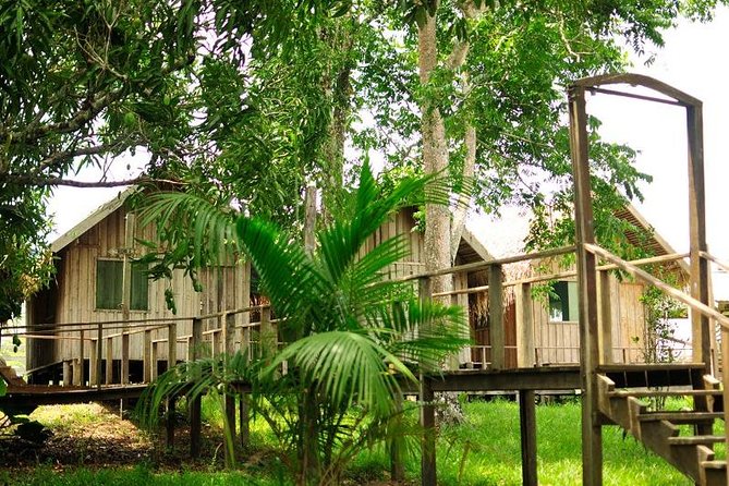 4-Day Manaus Amazon Jungle Adventure - The guide makes or breaks the experience