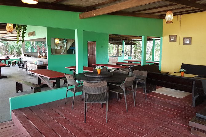 4 Days Amazon Jungle Adventure Tour - Day 2: a 2.5-hour forest walk and seasonal waterways