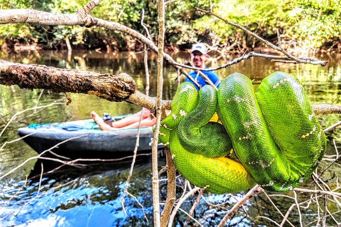 6-Day Guided Kayak Expedition in the Amazon - Food, comfort, and the people behind the trip