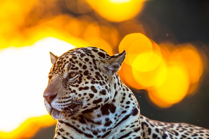 6 Days Pantanal and Jaguar Safari departing from Cuiaba - Why June through November matters