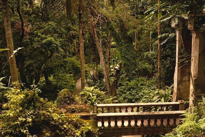 6-Hour Private Guided Tour in Rio de Janeiro - Cinelandia and the old downtown core
