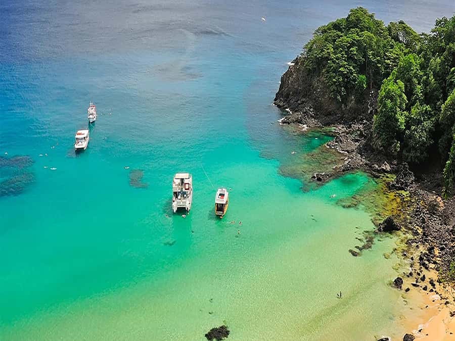 7-Hour Island Adventure: Fernando de Noronha Ilhatour - Key things to know before booking