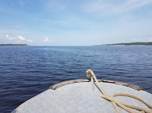 8-Hour Amazonas Jungle Treck & Anavilhanas Archipelago - From Manaus to the River Launch