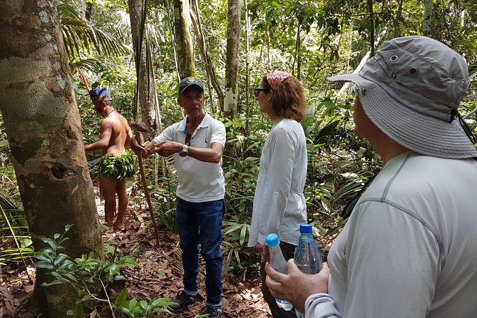 8-Hour Amazonas Jungle Treck & Anavilhanas Archipelago - Wildlife Is Possible, Not Guaranteed