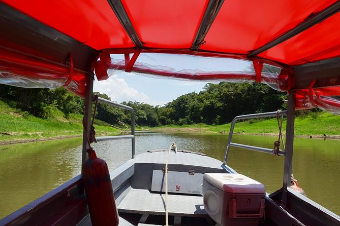 8-Hour Amazonas Jungle Treck & Anavilhanas Archipelago - Fishing, Swimming, and the End of the Day