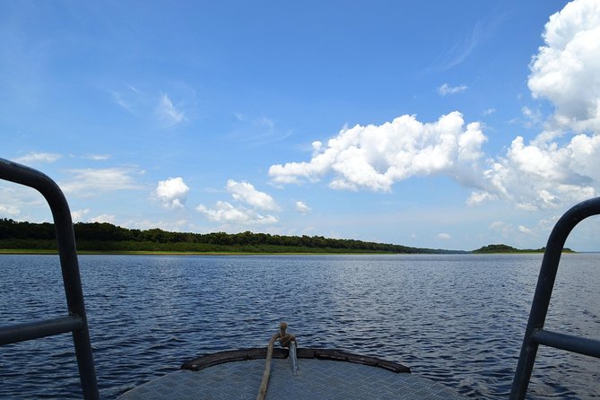 8-Hour Amazonas Jungle Treck & Anavilhanas Archipelago - A Short Forest Walk With Useful Lessons