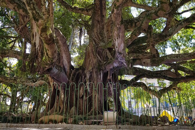 A walk through the center of Floripa - Largo da Alfândega and the first steps