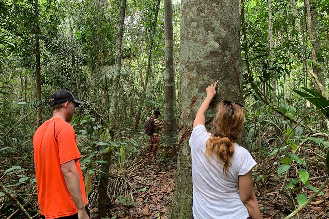 A Whole Day in the Jungle - What makes this Amazon day special