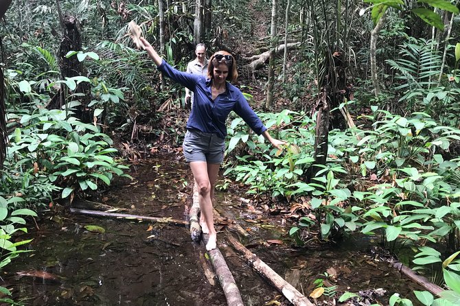 A Whole Day in the Jungle - Starting from Manaus and reaching Castanho Lake