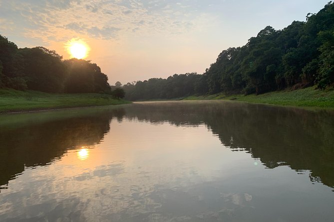 A Whole Day in the Jungle - Sunset and searching for caimans after dark