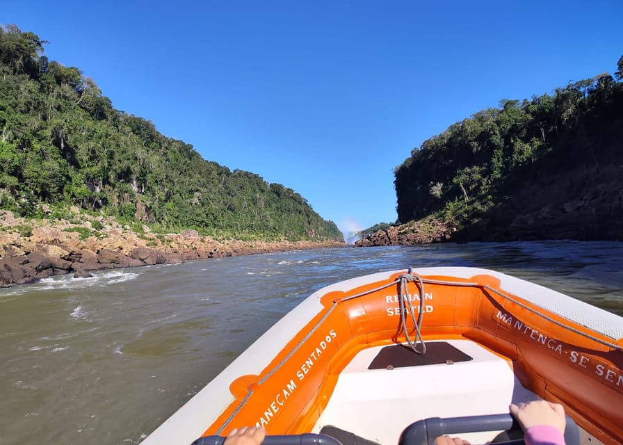 Adventure at Iguazu Falls: Safari, Bird Park, and Waterfalls - The Bird Park offers a different kind of close encounter