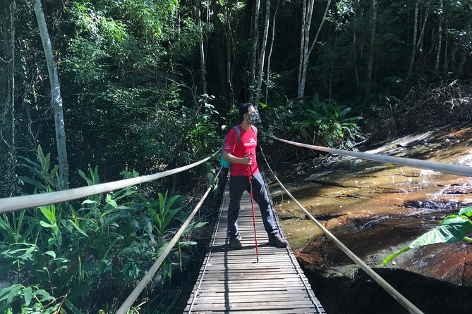 Adventure & History at Tijuca Forest (small group or private) - Why Tijuca Forest is worth your morning