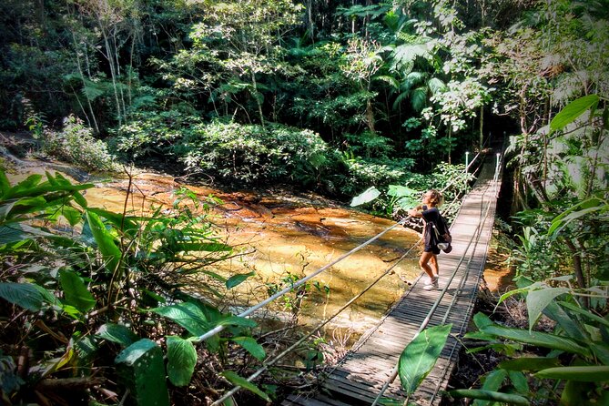 Adventure & History at Tijuca Forest (small group or private) - Small-group transport from Rio’s South Zone