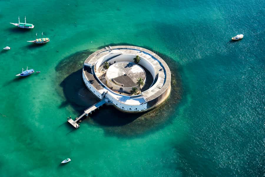 Afro-Brazilian Roots Private City Tour in Salvador - Key points before you book