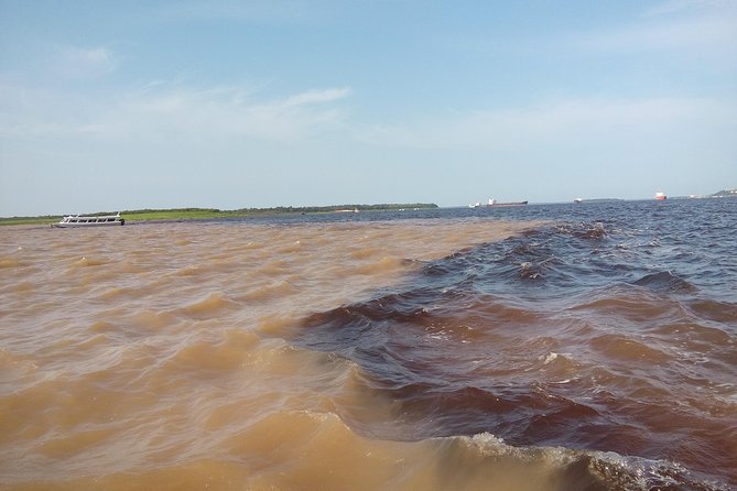 Amazon Adventure Trip 4D/3N at Tapiri Anavilhanas Lodge - Day one: Meeting of the Waters to pink dolphins