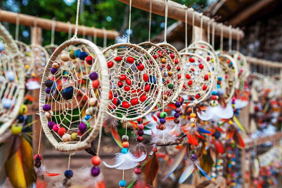 Amazon Experience: Indigenous culture and nature phenomenon - Why this Manaus day trip covers so much