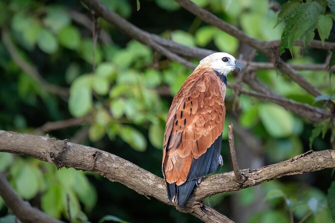 Amazon Explore 4D/3N-At Amazon Tapiri Floating Lodge - Key points to know before booking