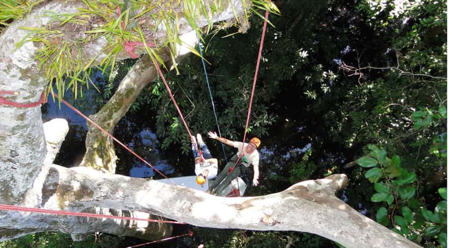 Amazon Jungle 3-Hour Tree Climbing Activity - Key points at a glance