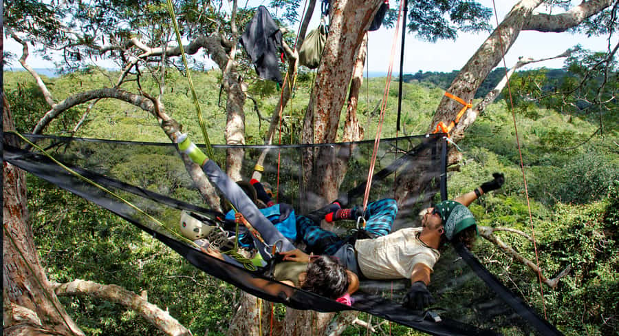 Amazon Jungle 3-Hour Tree Climbing Activity - From hotel pickup to the Amazon forest