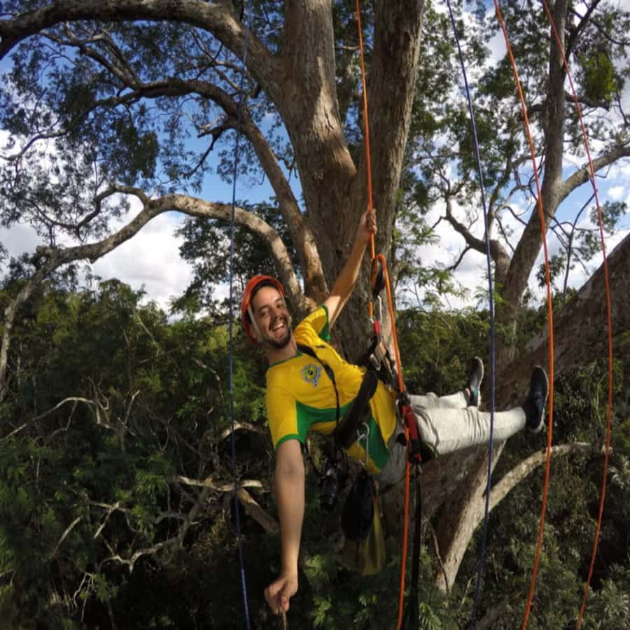 Amazon Jungle 3-Hour Tree Climbing Activity - Climbing into the Amazon canopy