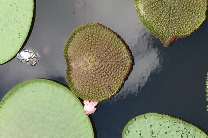 Amazon Jungle Experience with Overnight - What the overnight stay is really like