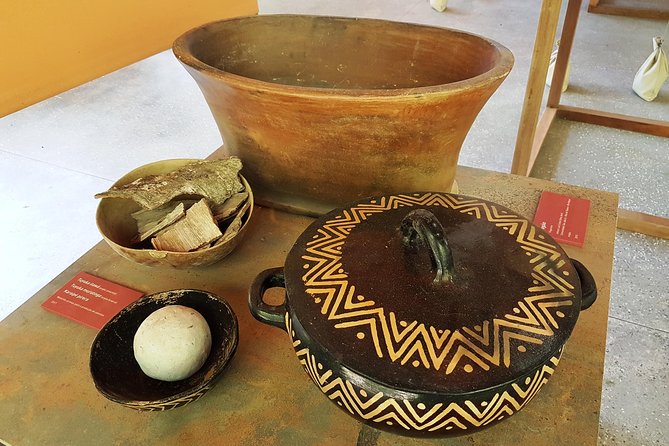 Amazon Natural Museums Combo (INPA and MUSA) - What the $53 group price really buys