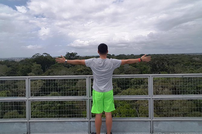 Amazon Natural Museums Combo (INPA and MUSA) - MUSA: forest trails and a 135-foot view