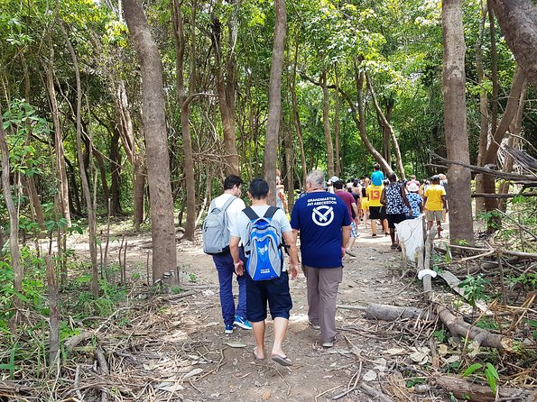 Amazon Negro River Half-Day Expedition Tour - Januári Ecological Park and the forest walk
