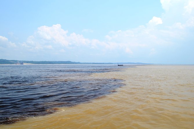 Amazon Negro River Half-Day Expedition Tour - Watching two rivers run side by side