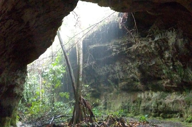 Amazon Rainforest Tour, Trails, Jungle, Caves and Waterfalls - Sucuriju and the jungle walk between stops