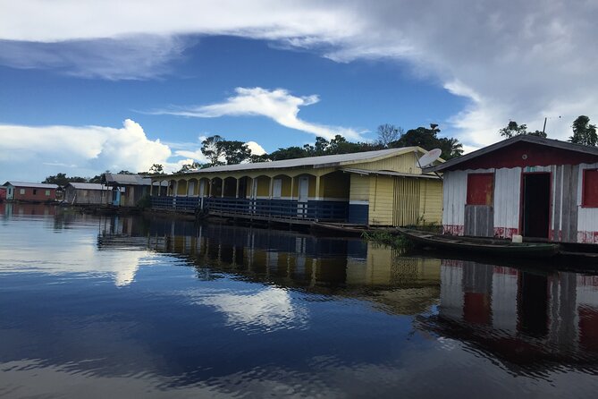 Amazon River Half day Tour - What this half-day Amazon tour is really like