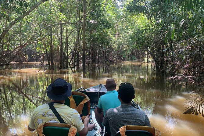 Amazon River Half day Tour - The Meeting of Waters in a single view