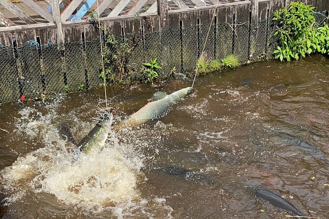 Amazon River Half day Tour - Returning past Manaus by water