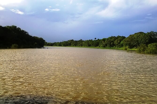 Amazon River Safari Boat Tour- Full Day Group Tour - Key points to know before you go