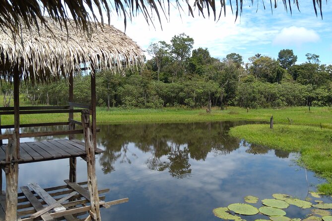 Amazon River Safari Boat Tour- Full Day Group Tour - What the $80 Manaus tour really includes