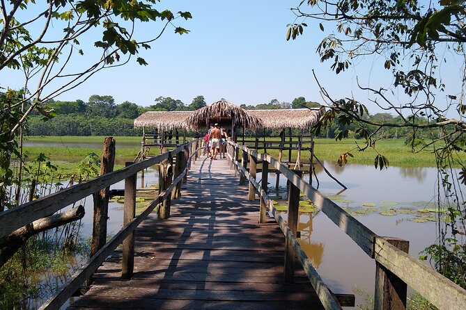 Amazon River Safari Boat Tour- Full Day Group Tour - The covered boat and the first river views
