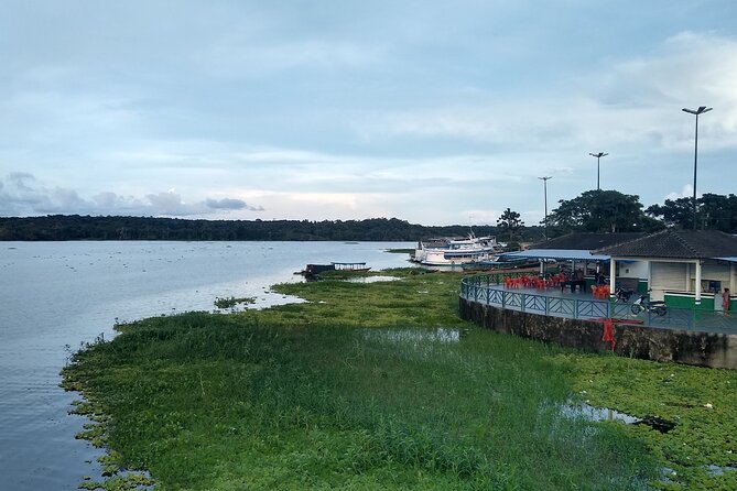 Amazon River Safari Boat Tour- Full Day Group Tour - Watching dolphins in the Negro River