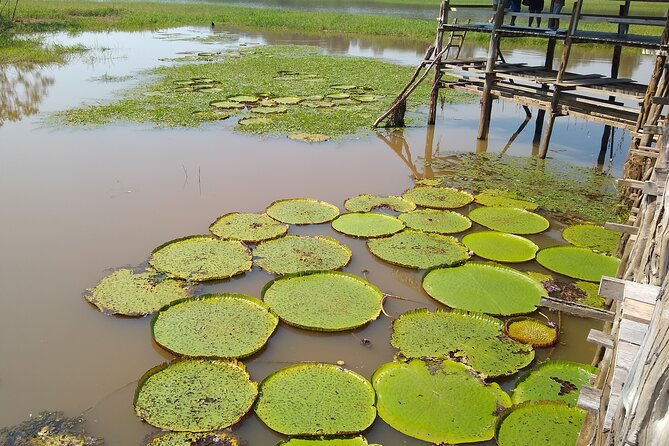 Amazon River Safari Boat Tour- Full Day Group Tour - Visiting the Indigenous community
