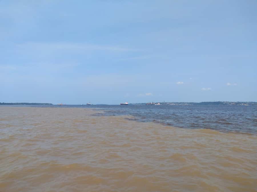 Amazon Safari® Manaus: Day trip on the Amazon River - Key points to know before booking