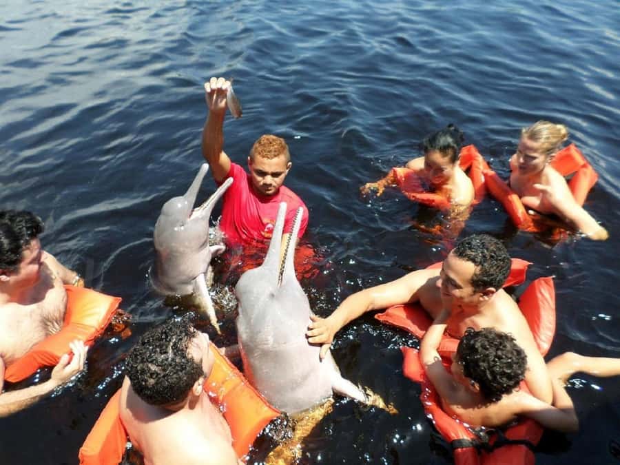 Amazon Safari® Manaus: Day trip on the Amazon River - Janauari Ecological Park and the floating crafts fair
